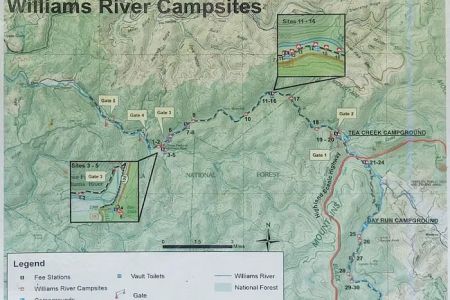 Williams River Campsite 17