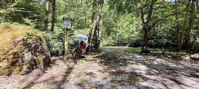 Williams River Campsite 16 2