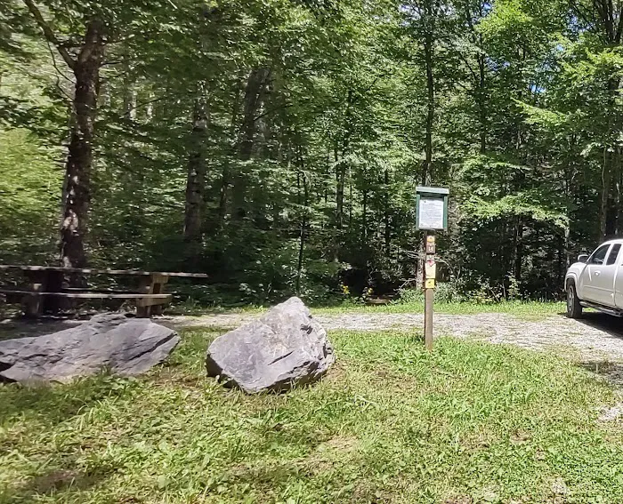 Williams River Campsite 14 2