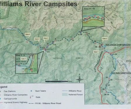 Williams River Campsite 14