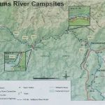 Williams River Campsite 12
