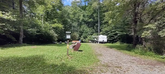 Williams River Campsite 12 2