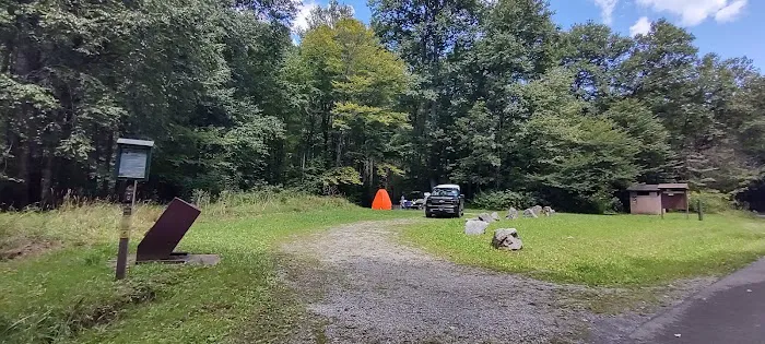Williams River Campsite 11 2