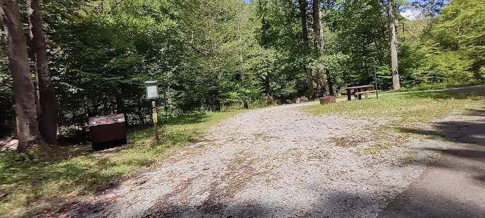Williams River Campsite 10 3