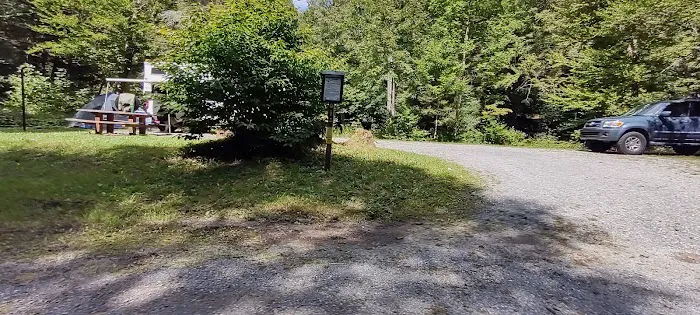 Williams River Campsite 9 1