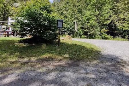 Williams River Campsite 9