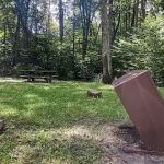 Williams River Campsite 5