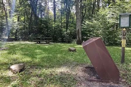 Williams River Campsite 5