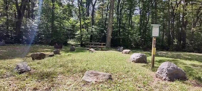 Williams River Campsite 5 2