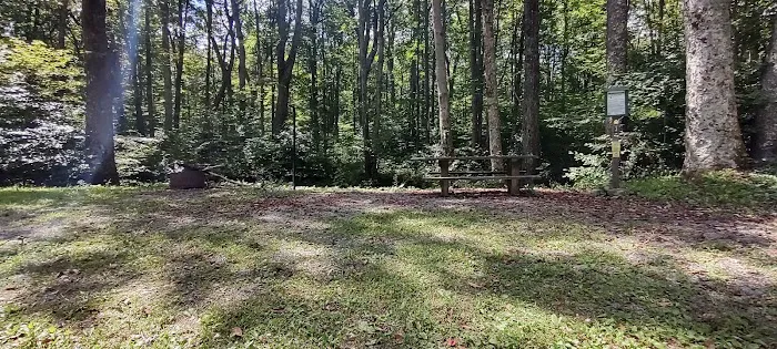 Williams River Campsite 3 1