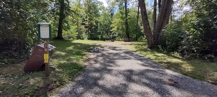 Williams River Campsite 2 1