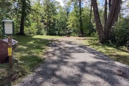 Williams River Campsite 2