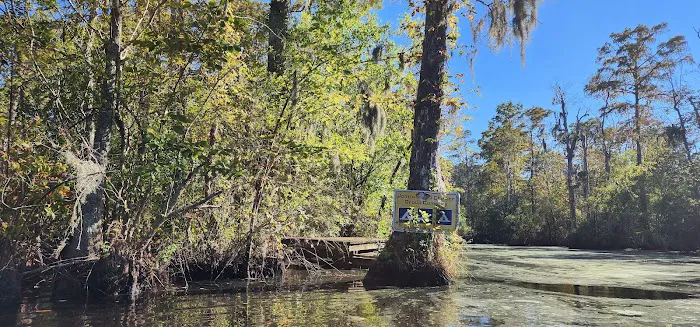 John’s Island Central 1