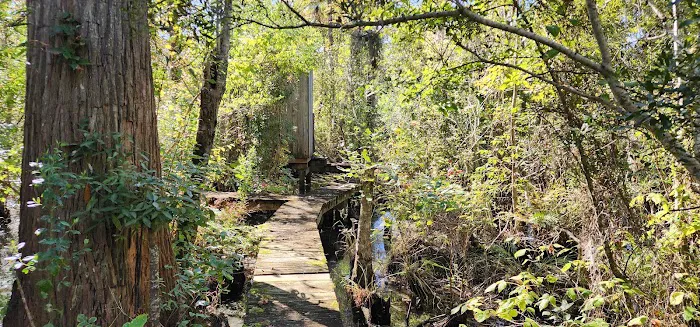 John’s Island Central 3