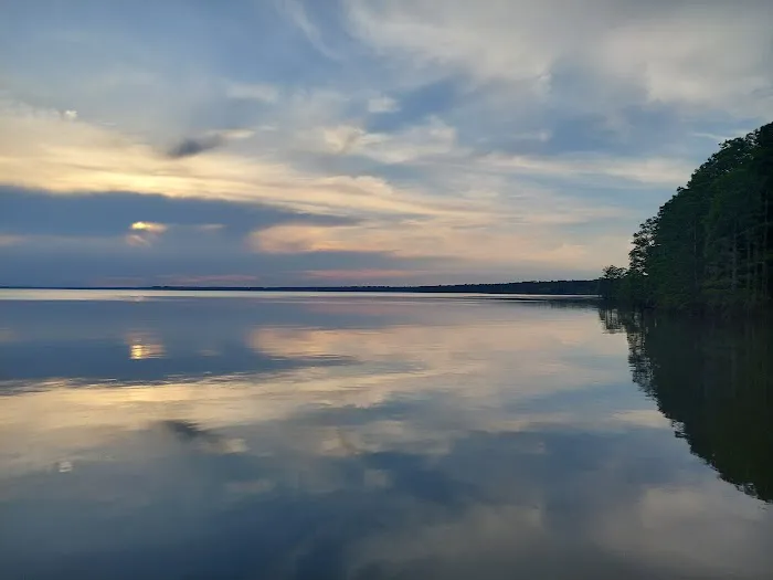 Pettigrew State Park Campground 4