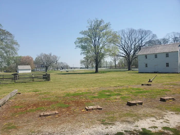 Pettigrew State Park Campground 8