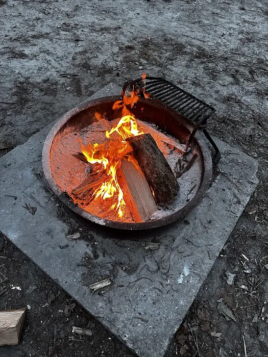 Pettigrew State Park Campground 5