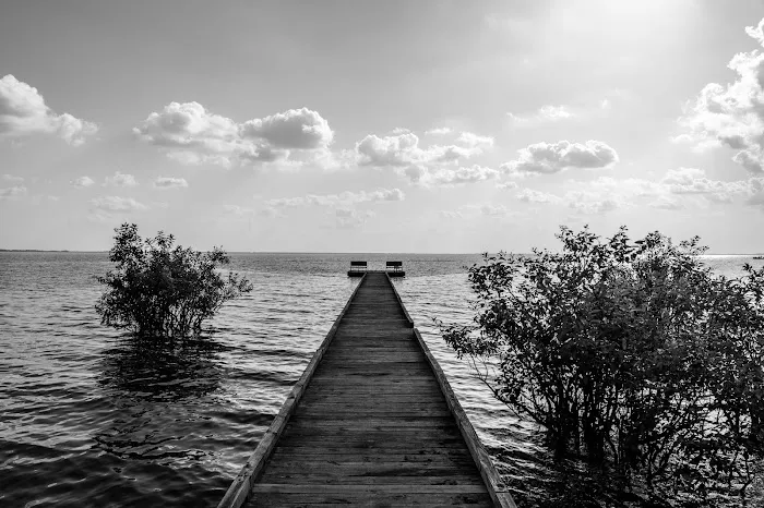 Pettigrew State Park Campground 6
