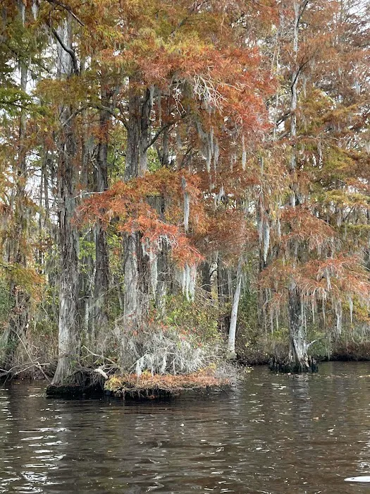 Holladay Island East 3