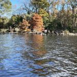 Holladay Island East