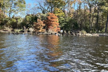 Holladay Island East