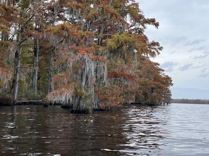 Holladay Island East 5