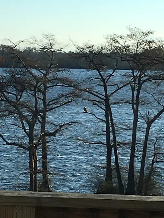 Cypress Cove Retreat 1