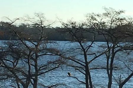 Cypress Cove Retreat