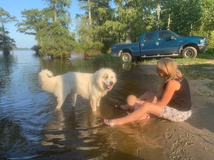Cypress Cove Retreat 4