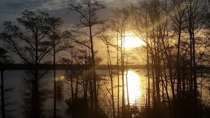 Cypress Cove Retreat 7