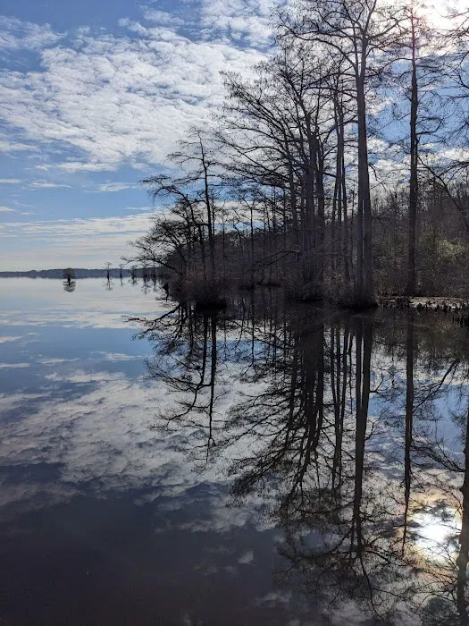 Cypress Landing RV Park 1