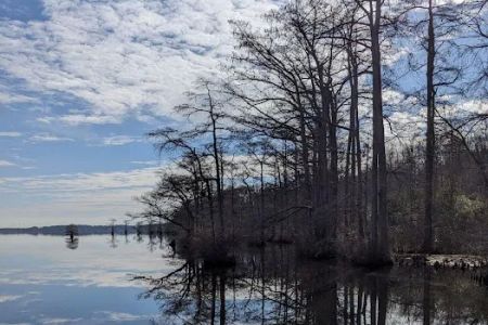 Cypress Landing RV Park