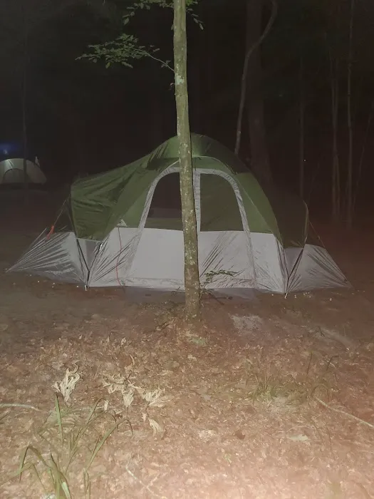 Merchants Millpond State Park - Walk-in Group Campsites 1