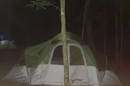 Merchants Millpond State Park - Walk-in Group Campsites