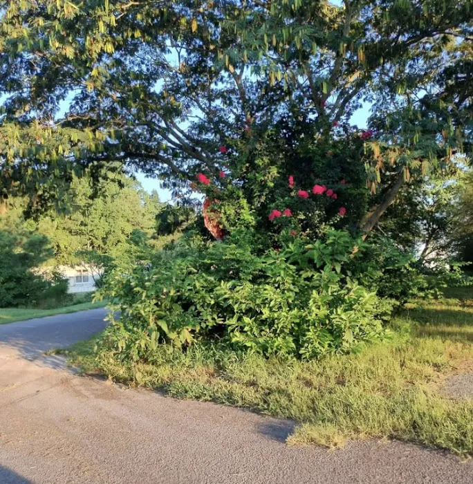 Franklin Farms Mobile Home Community 8