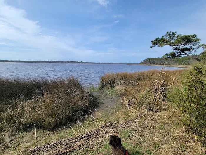 Oyster Point Campground 1