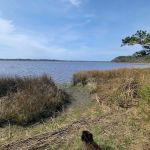 Oyster Point Campground
