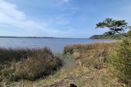 Oyster Point Campground