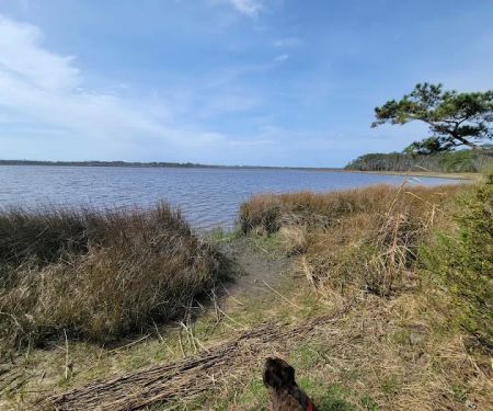Oyster Point Campground