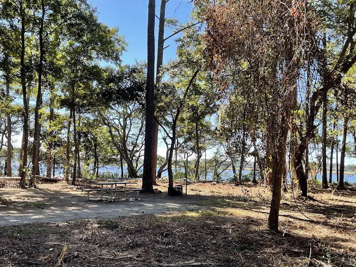 Oyster Point Campground 6