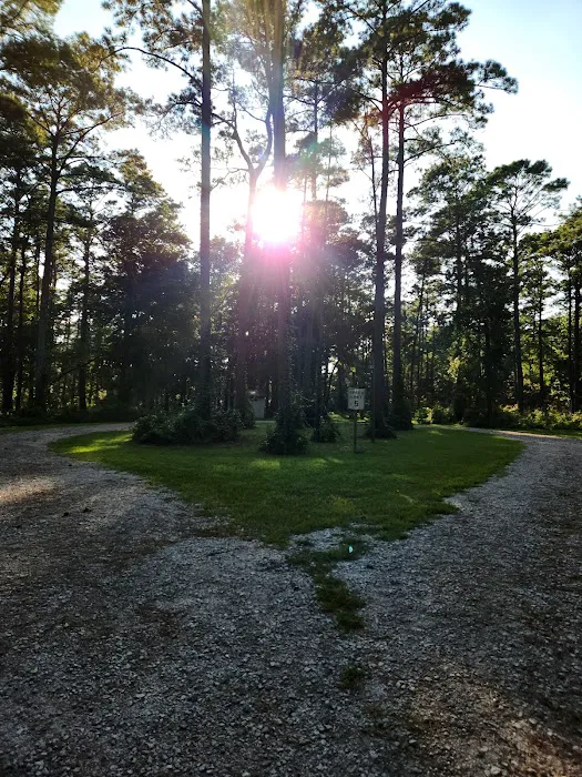 Oyster Point Campground 10