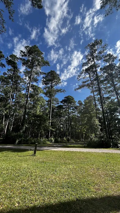 Oyster Point Campground 7