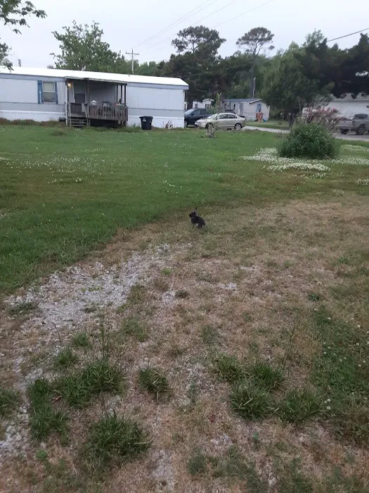 Atlantic Mobile home park 5