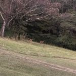 SkeeterFlats RV and Camper Park