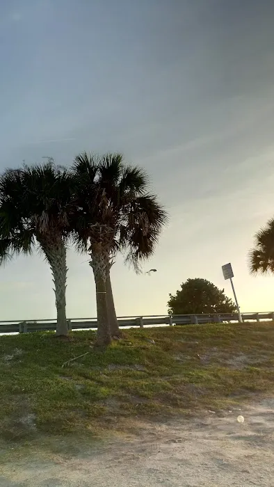 Terra Ceia Bay Estates 6