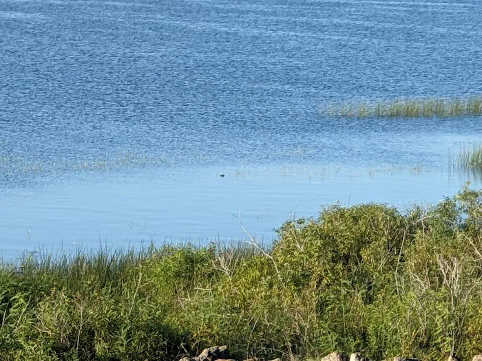 Gator RV Park 5