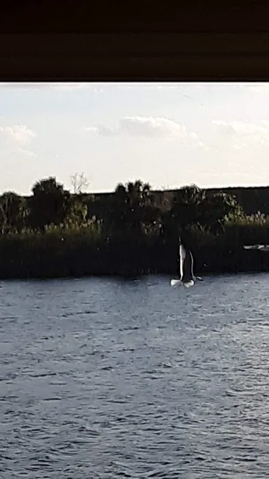 Gator RV Park 7