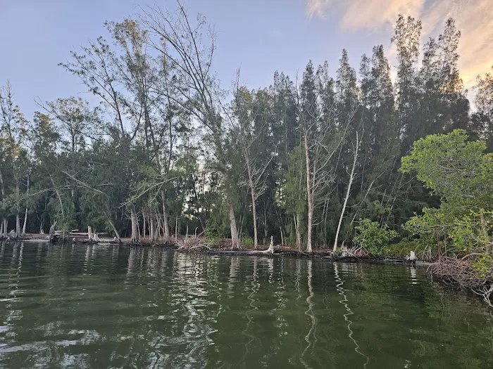 Scout Island 7