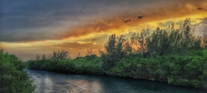Scout Island 8