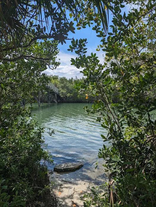 Scout Island 10